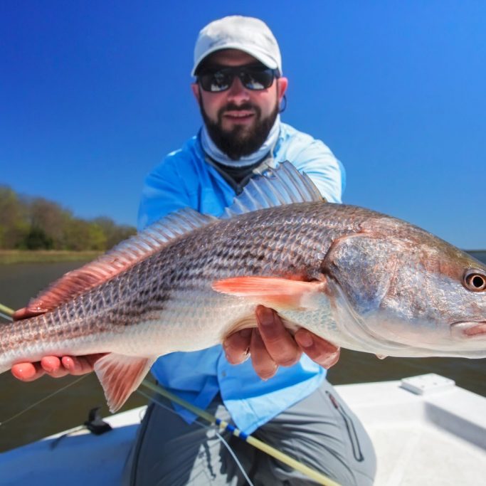 Fly fisherman holding a redfish