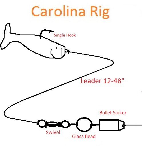 Snell Hook Carolina Rig - Fishing Yoyito